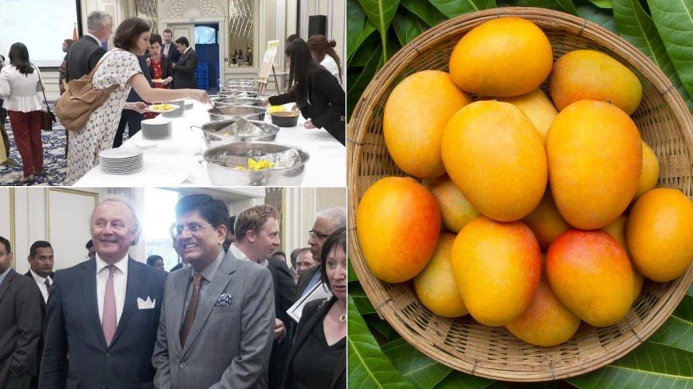 Union Minister Piyush Goyal inaugurates Mango Festival in Belgium_40.1