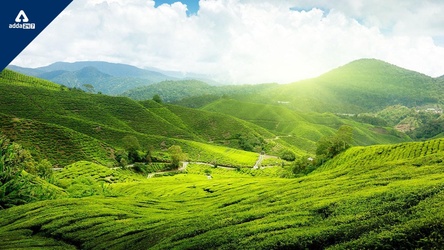 Assam History Geographical And Interesting Facts 2022