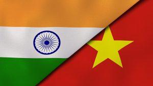 3rd India-Vietnam Bilateral Army Exercise "Ex VINBAX 2022" begins in Haryana_4.1