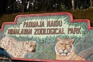 Padmaja Naidu Himalayan Zoological Park in Darjeeling recognised as best zoo_40.1