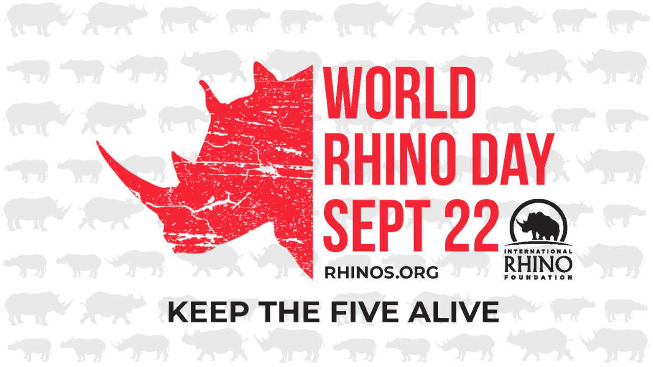 World Rhino Day 2022 observed on 22 September_50.1
