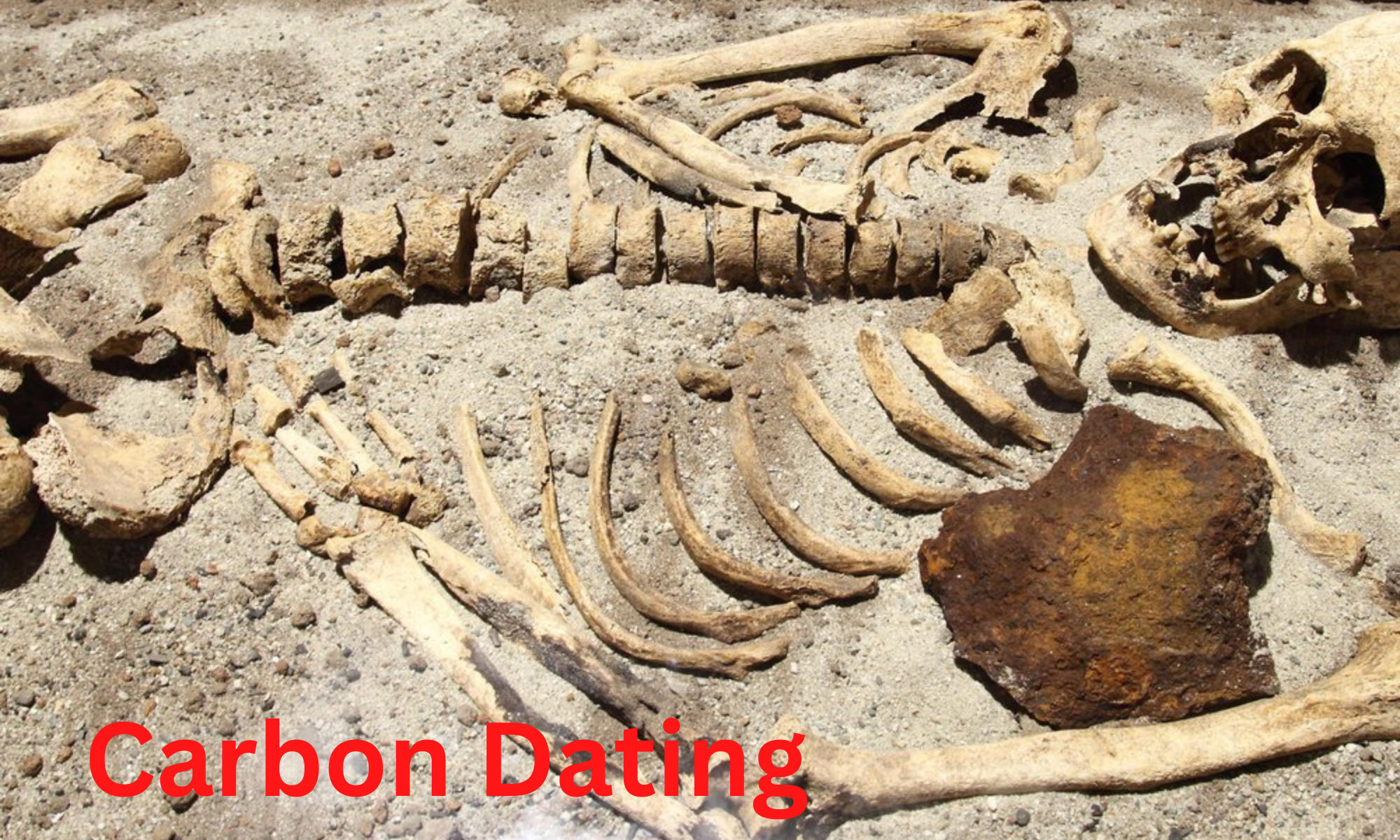 What is Carbon Dating? Know how it works and its uses_30.1