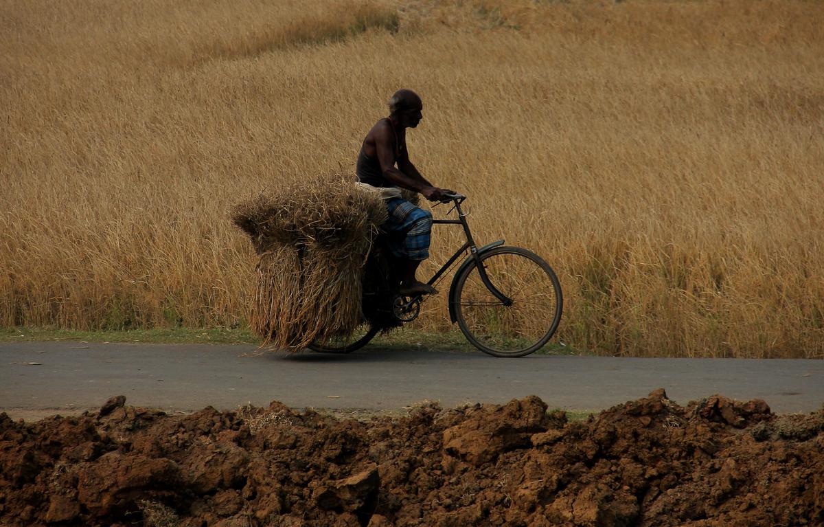 Arya.ag and FWWB India partner with UNDP