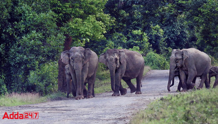 Centre approves Terai Elephant Reserve in Uttar Pradesh_40.1