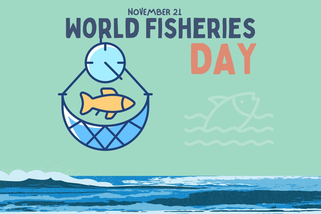 World Fisheries Day observed on 21st November_50.1