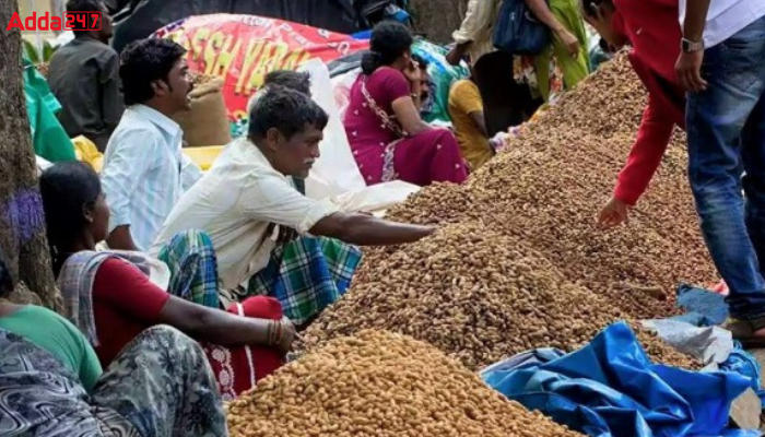 Groundnut Festival ‘Kadalekai Parishe’ begins in Karnataka