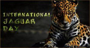 International Jaguar Day 2022: 29 November_4.1