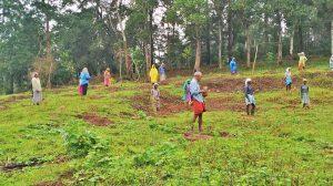 Forest department launched Project 'Vanikaran' in Kerala_4.1