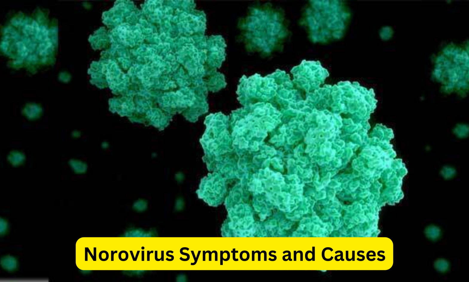 Norovirus Symptoms and Causes