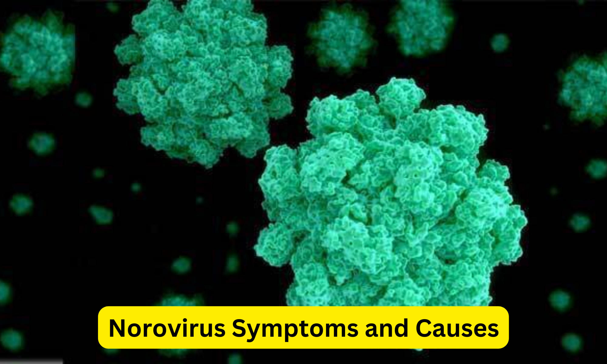 Norovirus Symptoms and Causes, How does Norovirus spread?_40.1