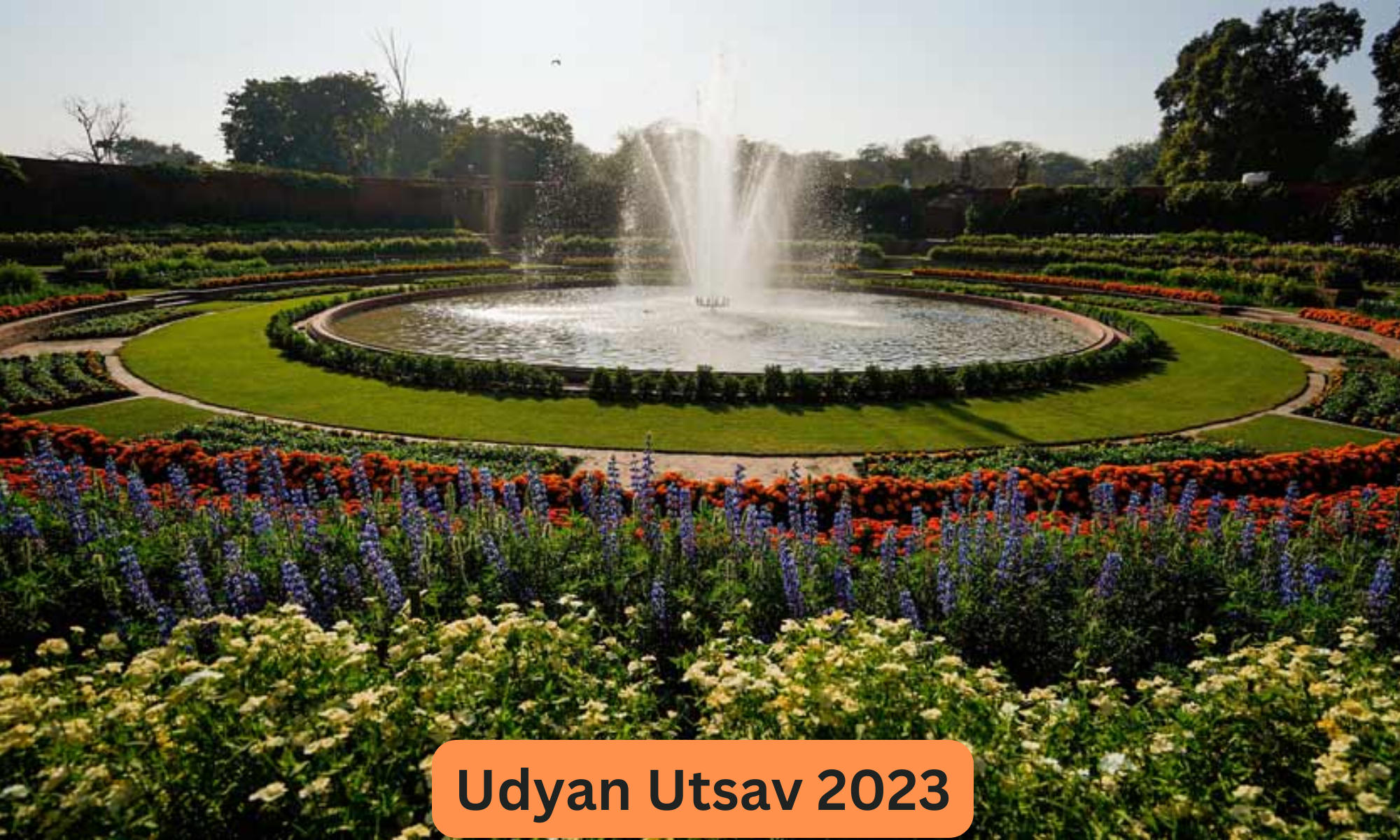 Udyan Utsav 2023 - Rashtrapati Bhavan's Amrit Udyan open from January 31_30.1
