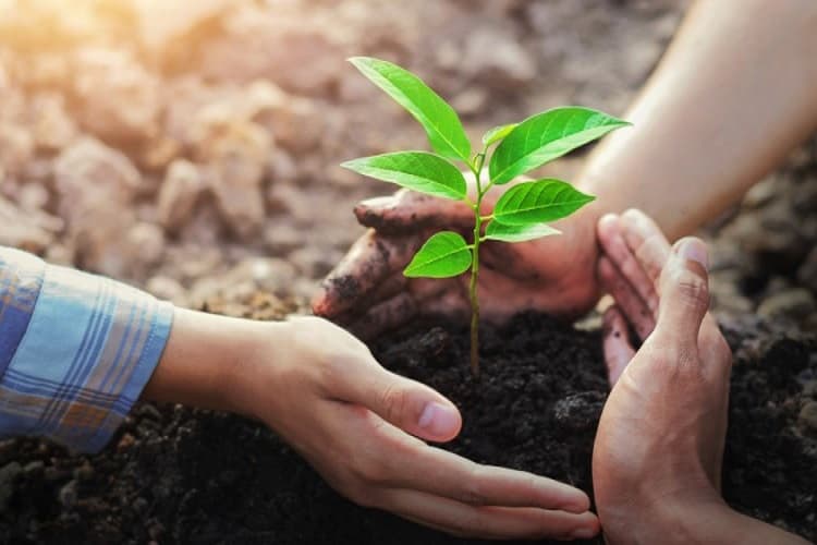 India celebrates 8th Soil Health Card Day on February 19_40.1