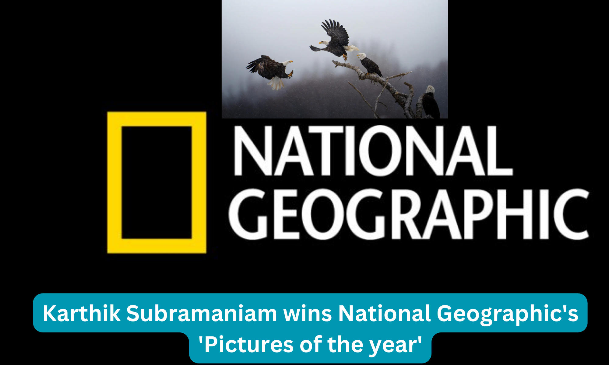 Karthik Subramaniam wins National Geographic's 'pictures of the year'