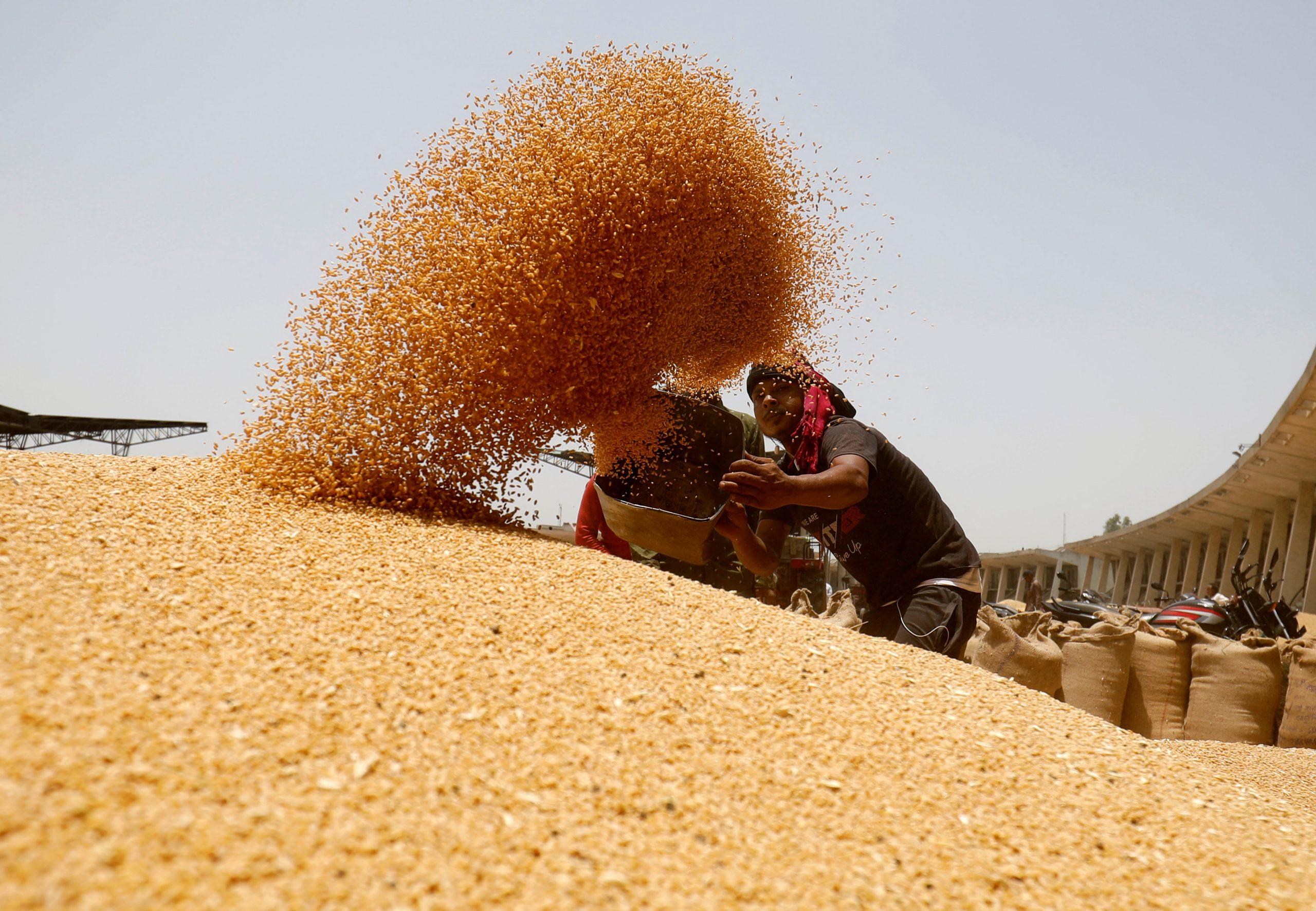 Govt sets up committee to monitor impact of rise in temp on wheat crop_40.1