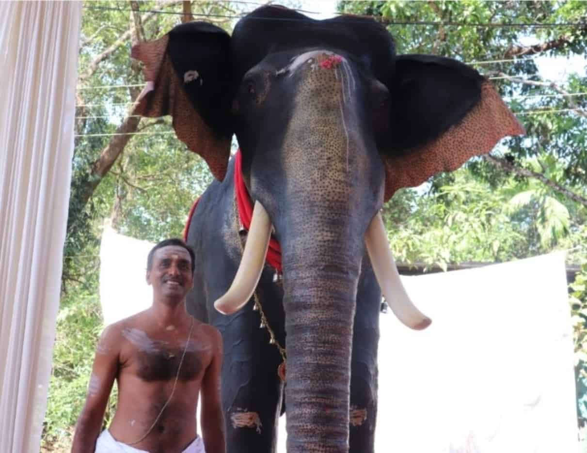 Kerala temple become India's first to induct robotic elephant for ritual duties_40.1