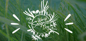 World Seagrass Day 2023 observed on 1st March_4.1
