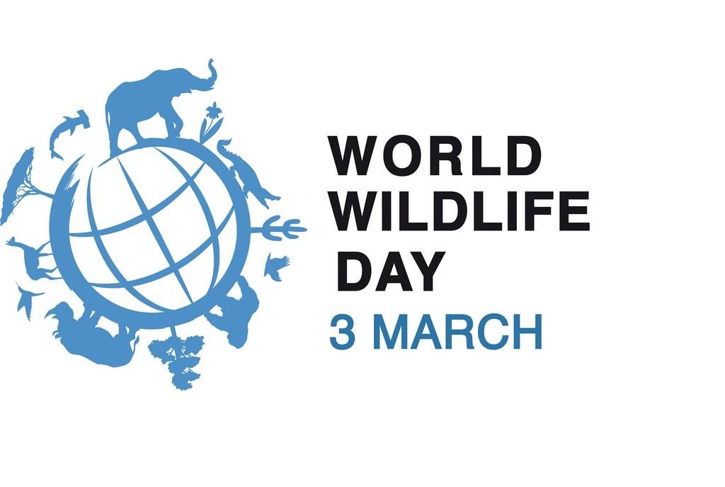 World Wildlife Day 2023 celebrates on 3rd March_50.1
