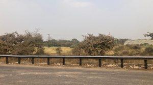 'World's first' bamboo crash barrier installed on Maharashtra highway_40.1