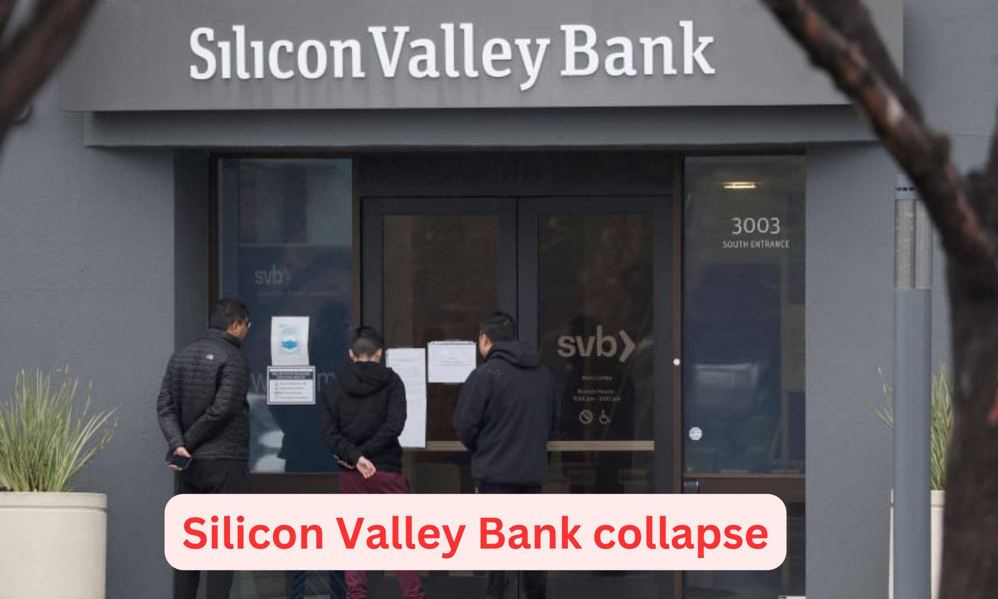 Silicon Valley Bank collapse, and is this the beginning of a banking crisis?_40.1