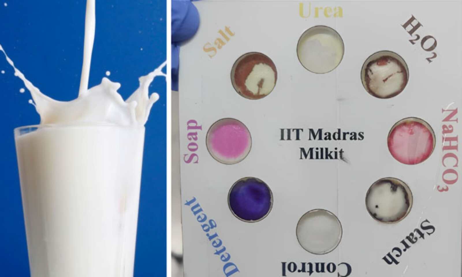 IIT Madras researchers develop pocket-friendly device to detect adulteration in milk_40.1