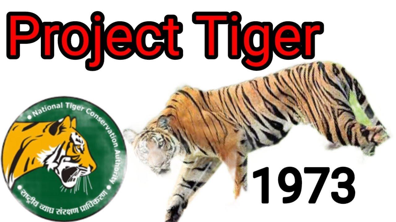 Bandipur completes 50 years as a Project Tiger Reserve_40.1