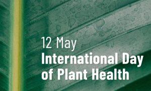 International Day of Plant Health 2023 celebrates on 12th May_4.1