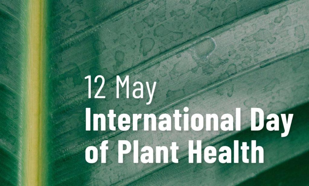 International Day of Plant Health 2023 celebrates on 12th May_40.1