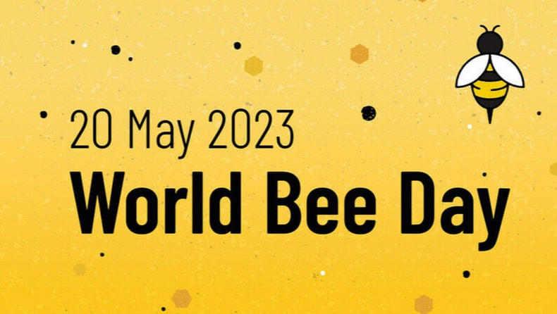 World Bee Day 2023 observed on 20th May_40.1