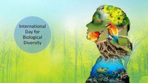 अंतर्राष्ट्रीय जैव विविधता दिवस 2023 : 22 मई |_3.1