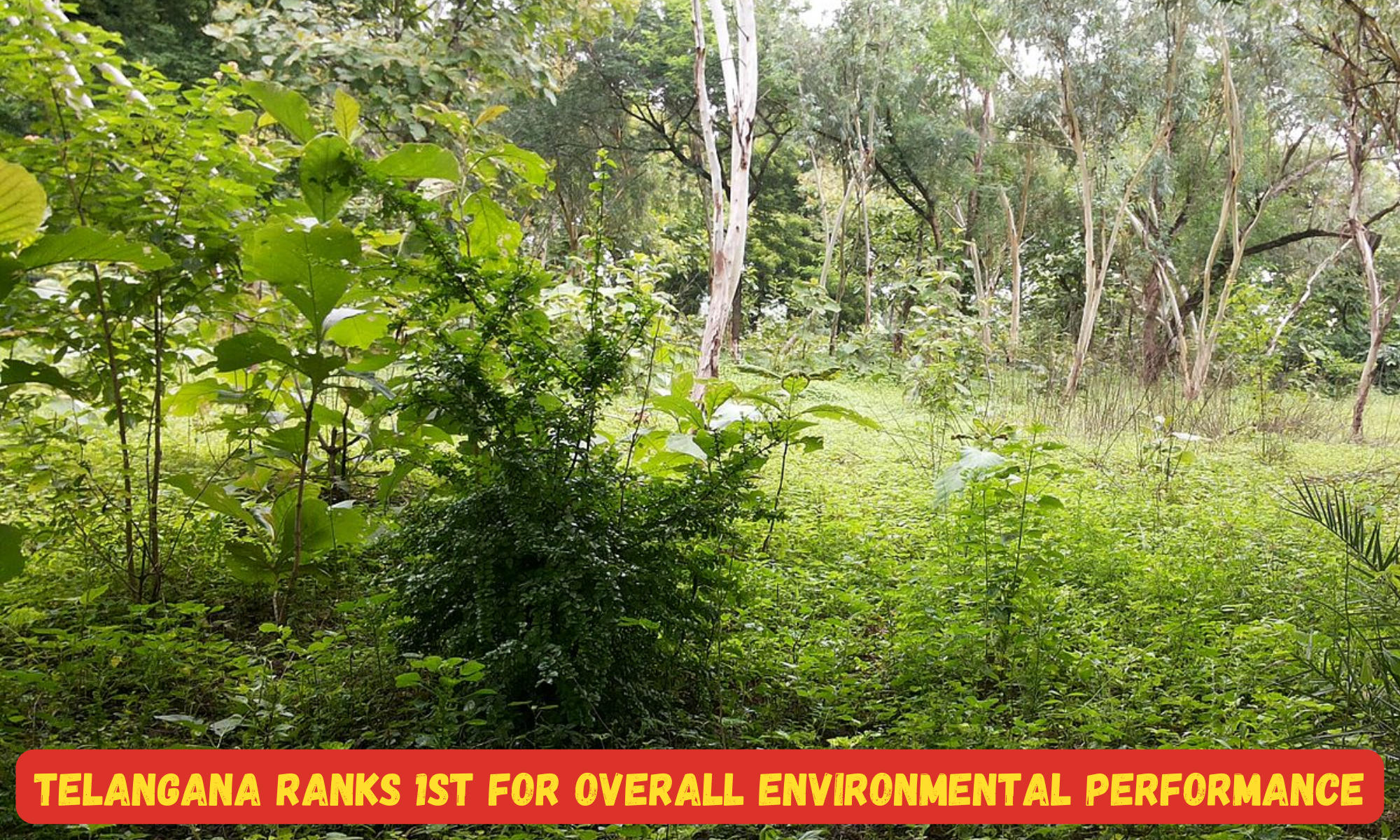 Telangana Ranks 1st for Overall Environmental Performance