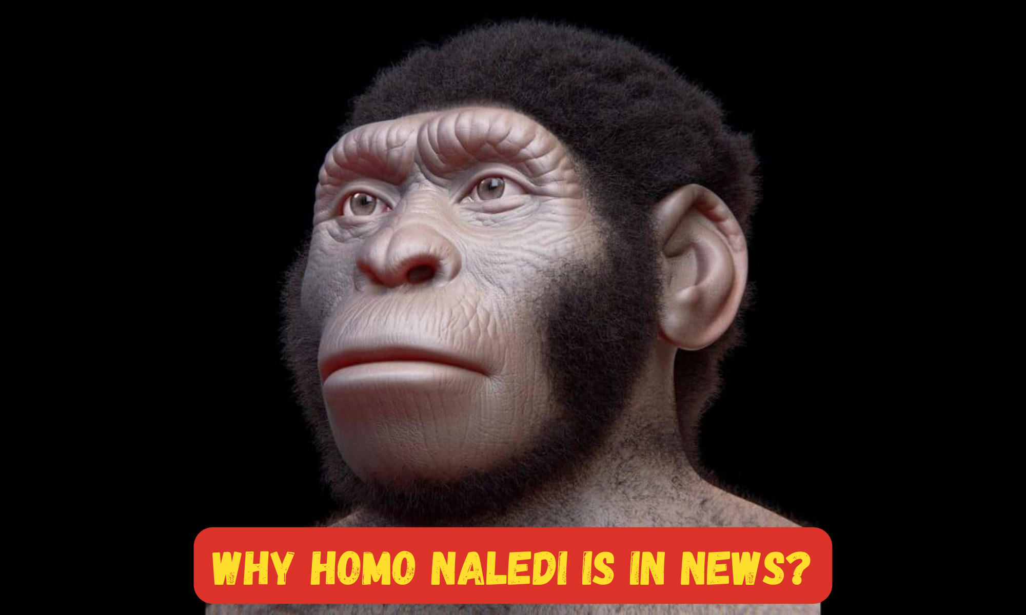 Why Homo Naledi is in News? Know about Homo Naledi_50.1