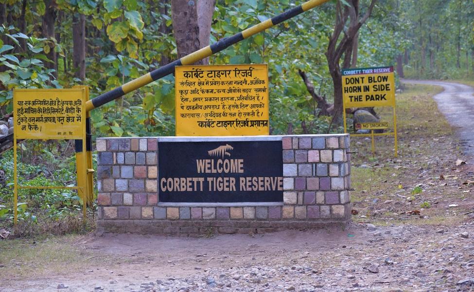 Jim Corbett National Park: A Guide to Untamed Adventures_50.1