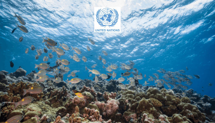 First-ever treaty to safeguard high seas marine life adopted by UN members_50.1