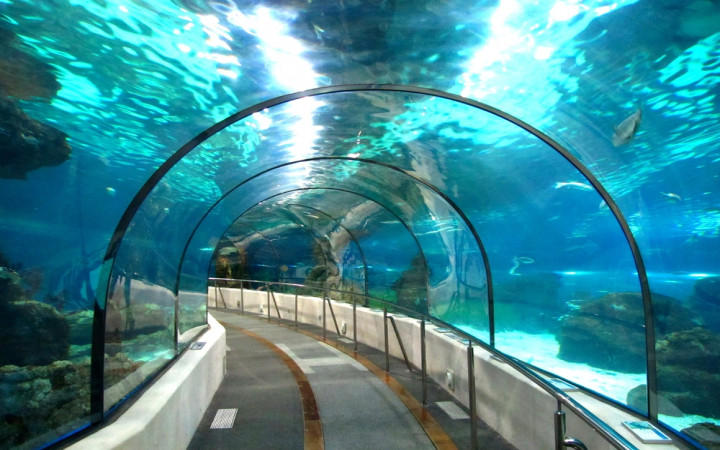 Assam's First Underwater Tunnel To Come Up Under Brahmaputra_50.1