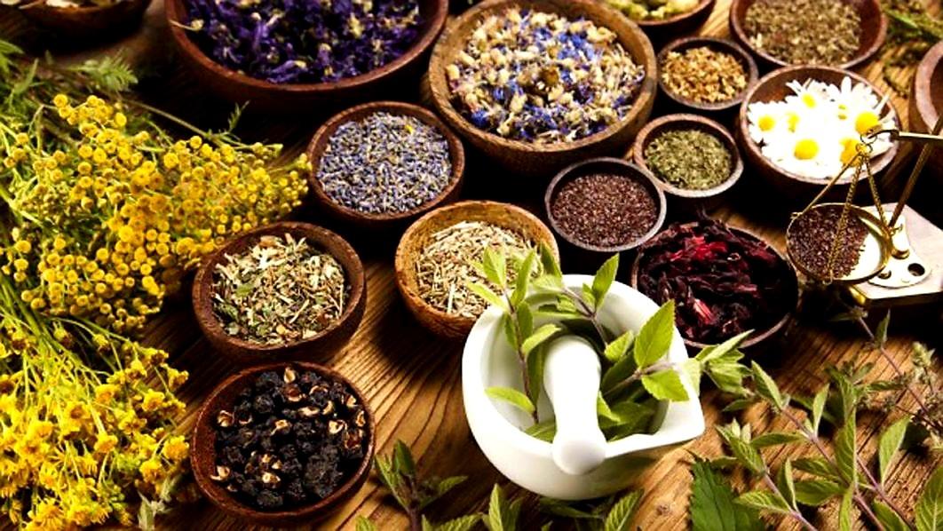 India to host ASEAN Countries Conference on Traditional Medicines_50.1