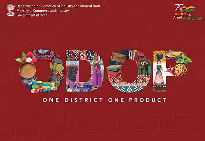 DPIIT and Govt of Gujarat launched 'One District One Product' wall_50.1