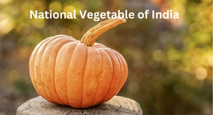 National Vegetable of India, Know Its Name and Significance_50.1