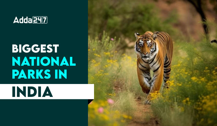 Biggest National Park in India, List of Top 10_30.1