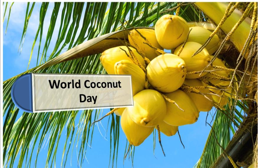 World Coconut Day 2023: Date, Benefits, Significance and History_30.1