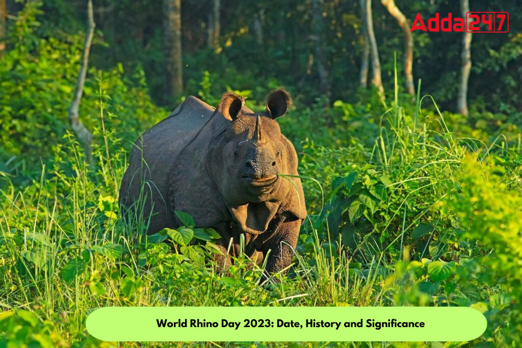 World Rhino Day 2023 Date History And Significance
