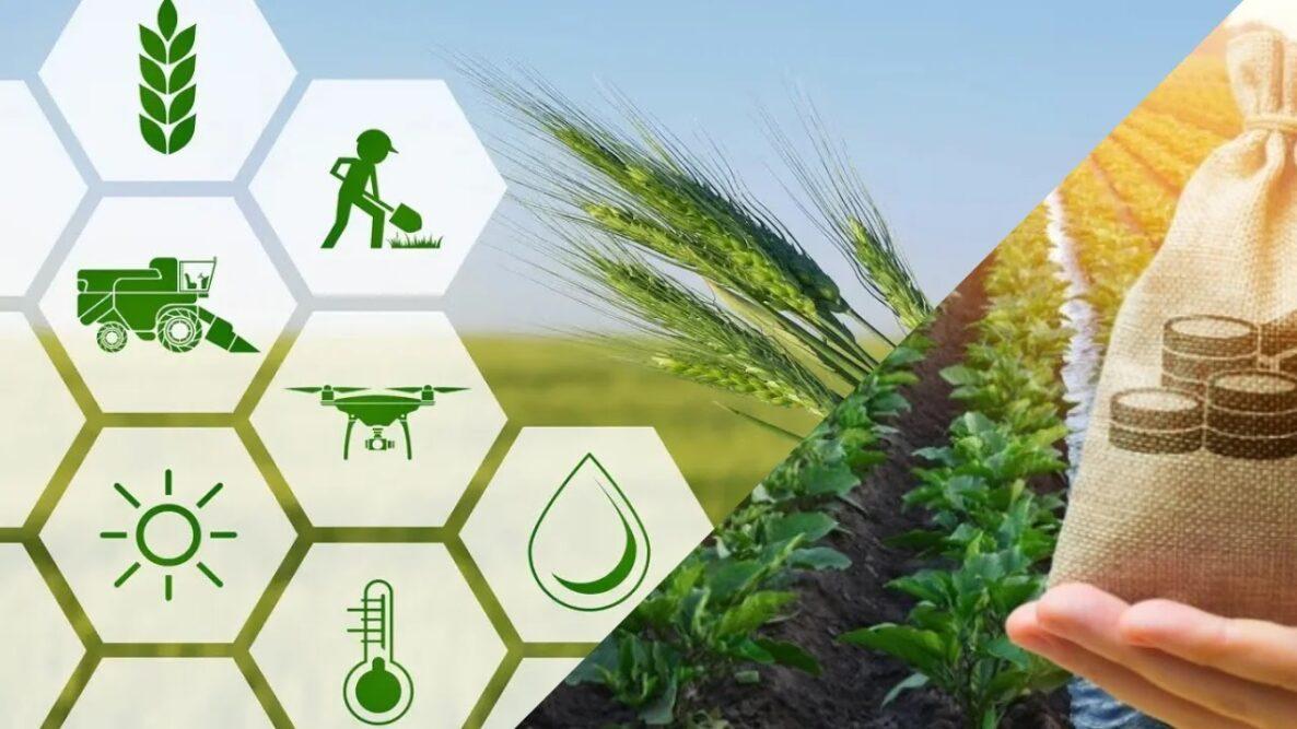 24 Agri Startups Recommended For Support From Pool of Rs 20 cr_80.1
