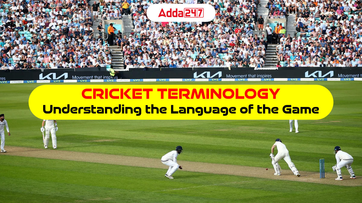 Cricket Terminology Understanding the Language of the Game