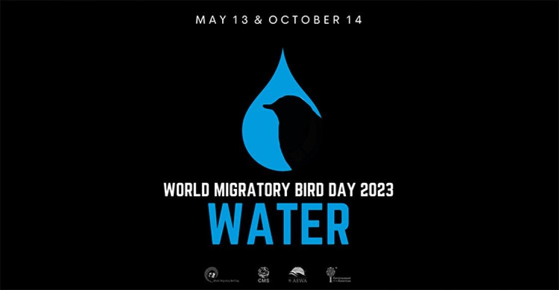 World Migratory Bird Day (WMBD) 2023: Date, Theme, Origin and Interesting Facts_80.1