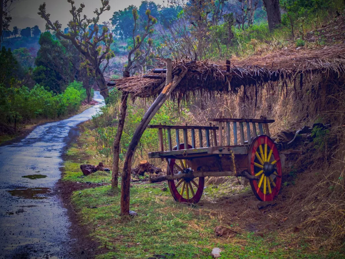 Nawanpind Sardaran Village In Punjab Receives Best Tourism Village Award_80.1