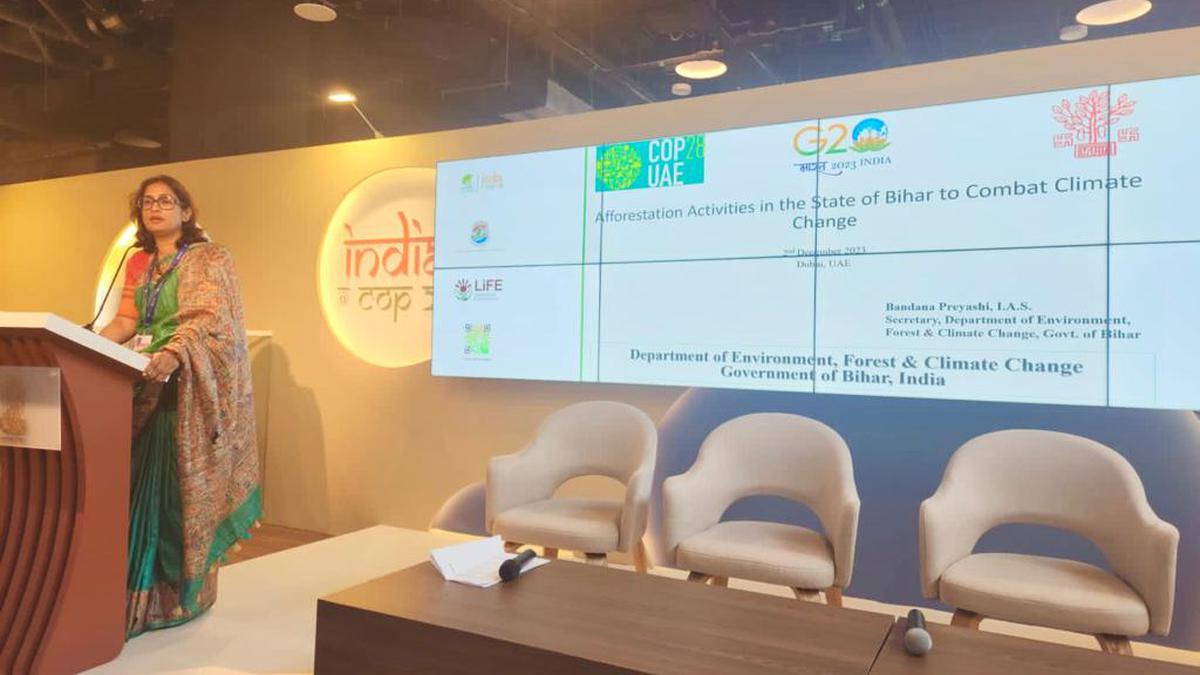 Bihar Garners International Recognition At COP-28 For Afforestation Efforts_30.1