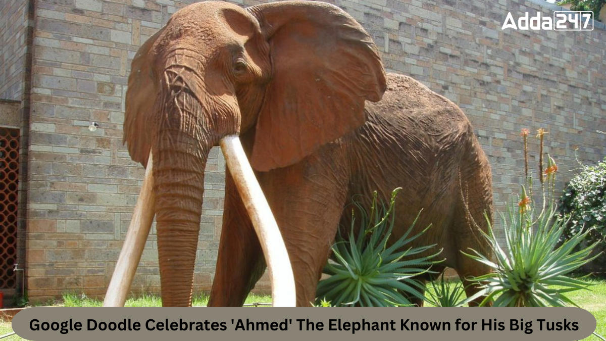 Google Doodle Celebrates Ahmed The Elephant Known for His Big Tusks_30.1
