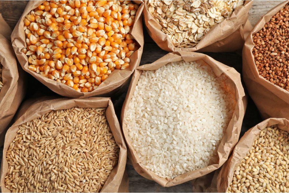 Global Grain Price Outlook for 2024: Decline Expected, Rice a Standout Exception_30.1