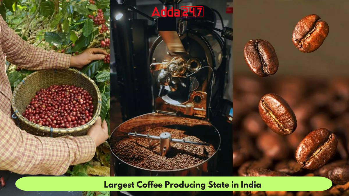 Largest Coffee Producing State in India_30.1
