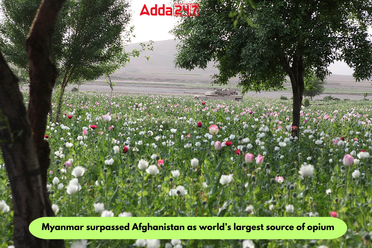 Myanmar Surpasses Afghanistan as World's Leading Opium Source in 2023: UN Report_30.1