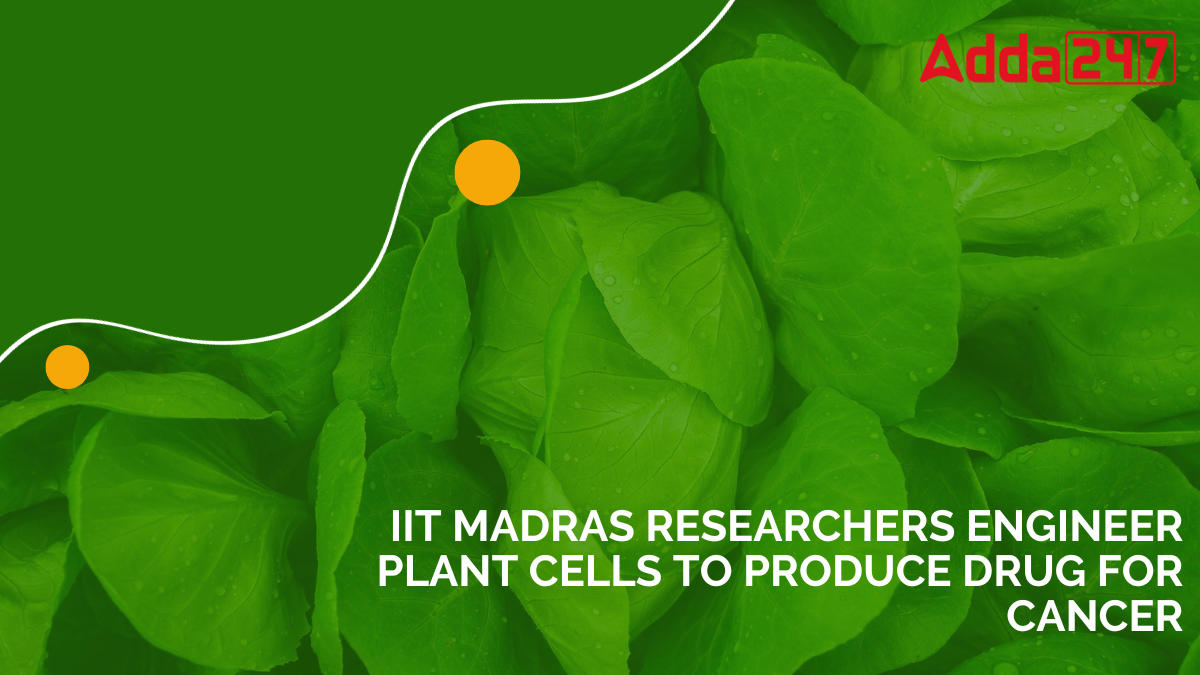 IIT Madras Researchers Engineer Plant Cells To Produce Drug For Cancer_30.1